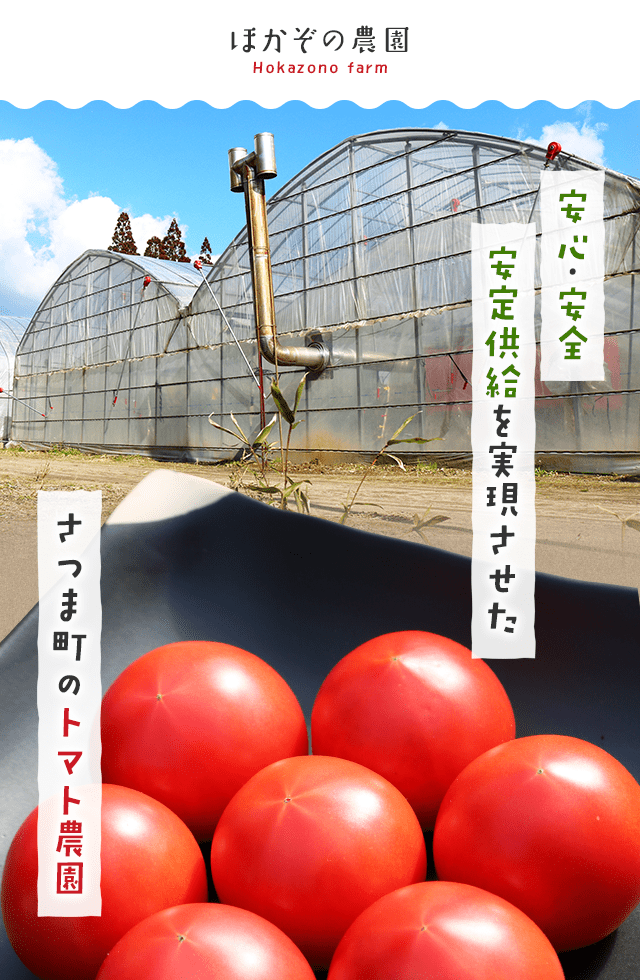 安心・安全 安定供給を実現させたさつま町のトマト農園